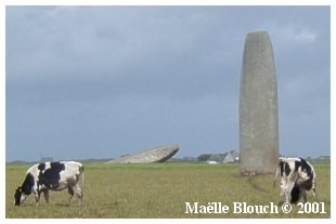 Vista general de los menhirs de Kergadiou