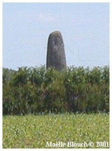 El menhir de St Gonvarc'h